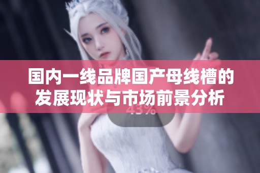 国内一线品牌国产母线槽的发展现状与市场前景分析
