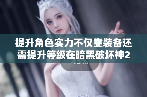 提升角色实力不仅靠装备还需提升等级在暗黑破坏神2安达市
