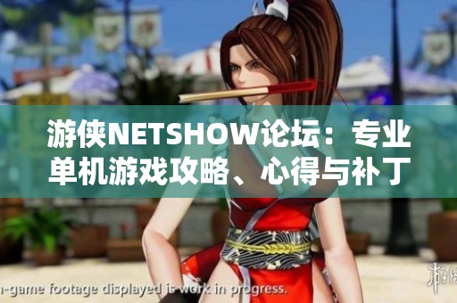 游侠NETSHOW论坛：专业单机游戏攻略、心得与补丁分享平台