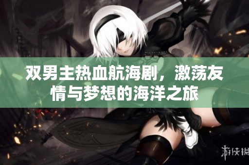 双男主热血航海剧，激荡友情与梦想的海洋之旅