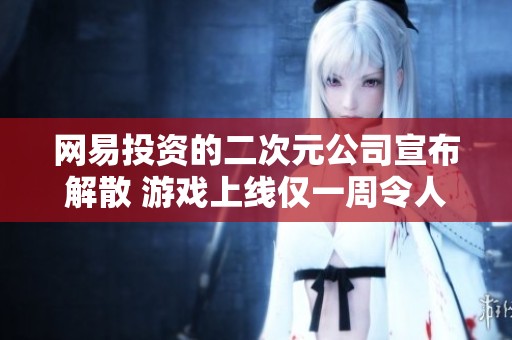 网易投资的二次元公司宣布解散 游戏上线仅一周令人震惊