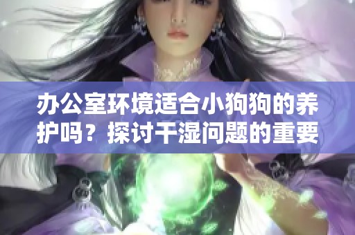 办公室环境适合小狗狗的养护吗？探讨干湿问题的重要性