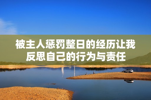 被主人惩罚整日的经历让我反思自己的行为与责任