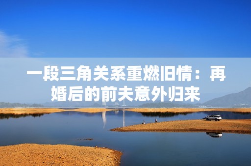 一段三角关系重燃旧情：再婚后的前夫意外归来