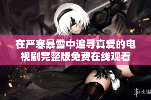 在严寒暴雪中追寻真爱的电视剧完整版免费在线观看
