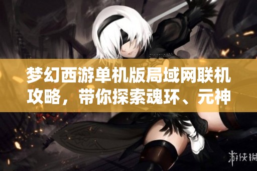 梦幻西游单机版局域网联机攻略，带你探索魂环、元神与灵宝系统的奥秘