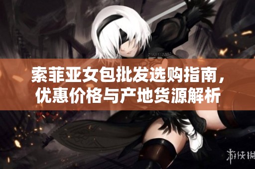 索菲亚女包批发选购指南，优惠价格与产地货源解析
