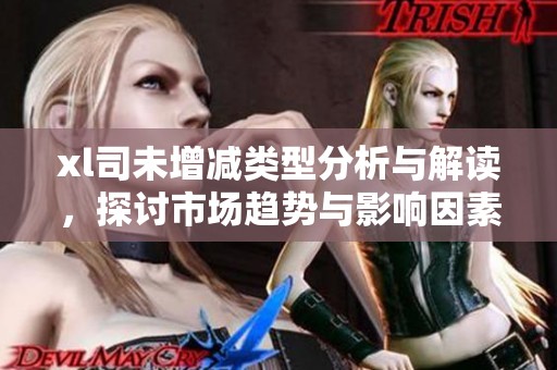 xl司未增减类型分析与解读，探讨市场趋势与影响因素