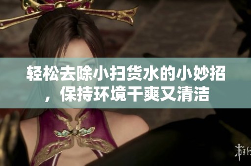 轻松去除小扫货水的小妙招，保持环境干爽又清洁