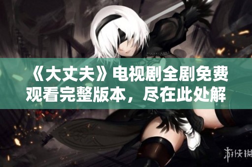 《大丈夫》电视剧全剧免费观看完整版本，尽在此处解析