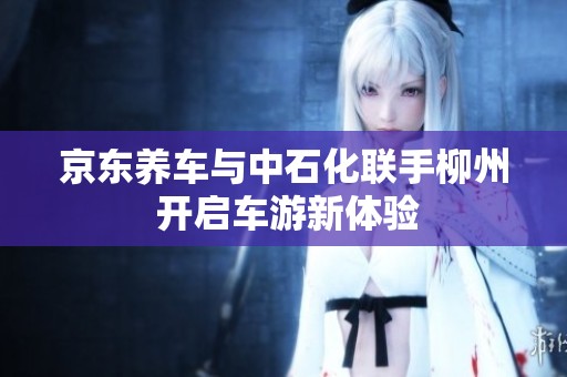京东养车与中石化联手柳州 开启车游新体验