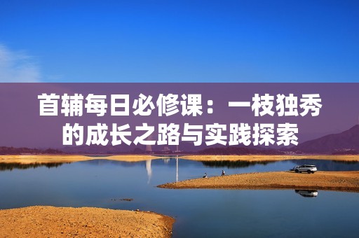 首辅每日必修课：一枝独秀的成长之路与实践探索