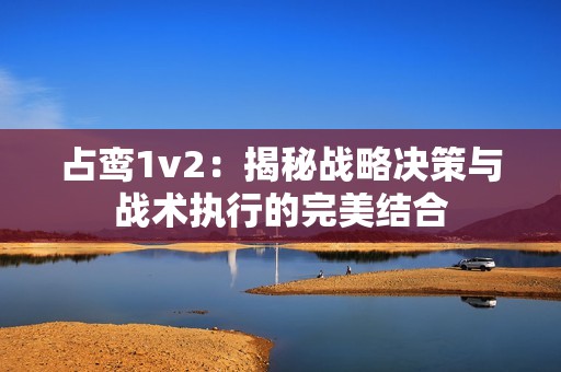 占鸾1v2：揭秘战略决策与战术执行的完美结合