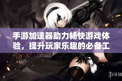 手游加速器助力畅快游戏体验，提升玩家乐趣的必备工具