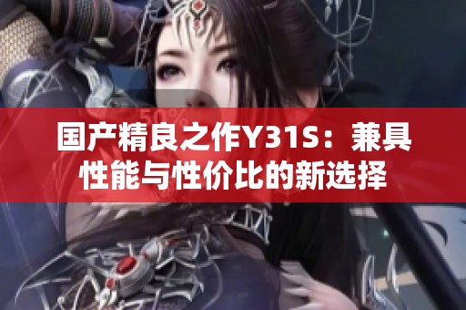 国产精良之作Y31S：兼具性能与性价比的新选择