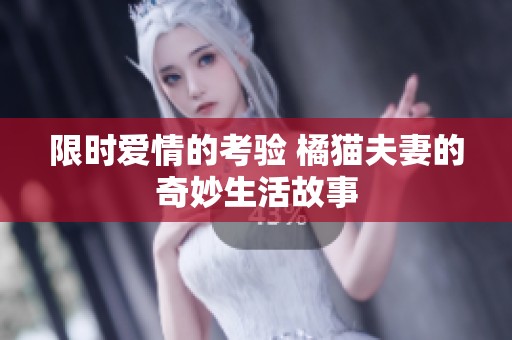限时爱情的考验 橘猫夫妻的奇妙生活故事