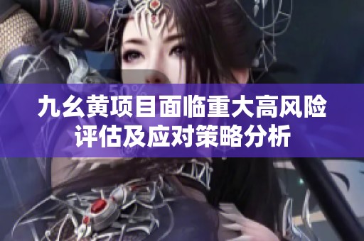 九幺黄项目面临重大高风险评估及应对策略分析