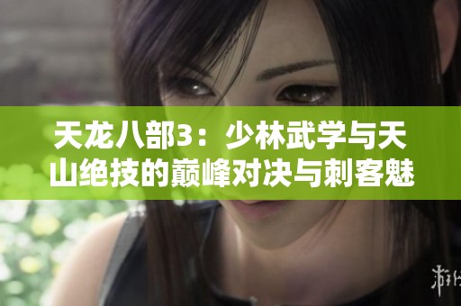 天龙八部3：少林武学与天山绝技的巅峰对决与刺客魅影之战