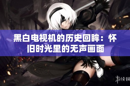 黑白电视机的历史回眸：怀旧时光里的无声画面