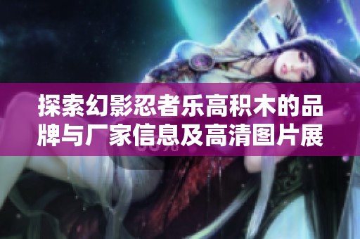探索幻影忍者乐高积木的品牌与厂家信息及高清图片展示