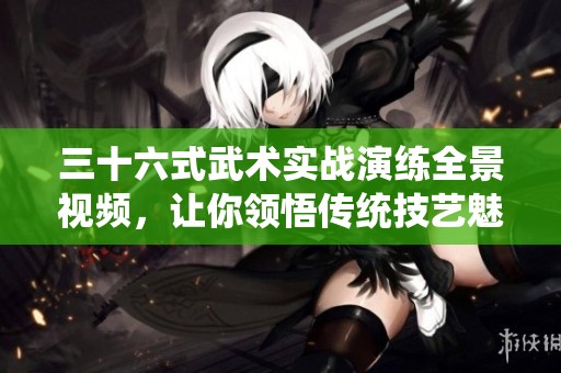 三十六式武术实战演练全景视频，让你领悟传统技艺魅力