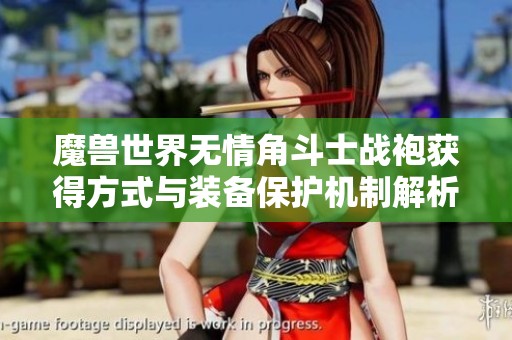 魔兽世界无情角斗士战袍获得方式与装备保护机制解析
