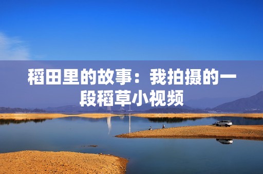 稻田里的故事：我拍摄的一段稻草小视频
