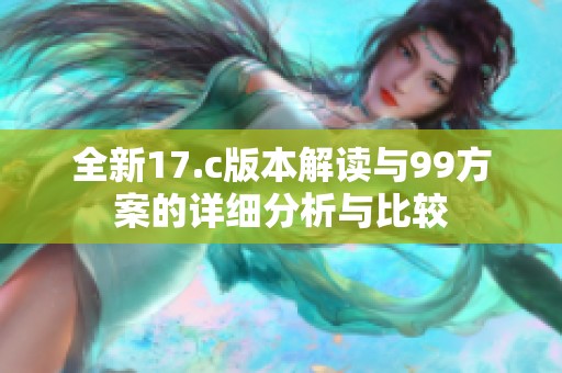 全新17.c版本解读与99方案的详细分析与比较