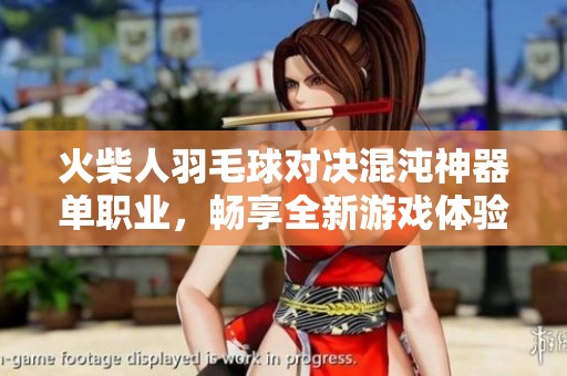 火柴人羽毛球对决混沌神器单职业，畅享全新游戏体验！