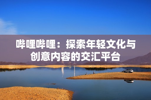 哔哩哔哩：探索年轻文化与创意内容的交汇平台