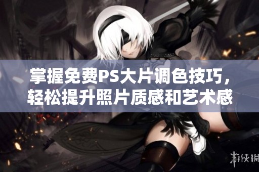 掌握免费PS大片调色技巧，轻松提升照片质感和艺术感