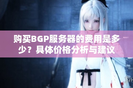 购买BGP服务器的费用是多少？具体价格分析与建议