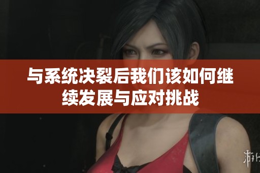 与系统决裂后我们该如何继续发展与应对挑战