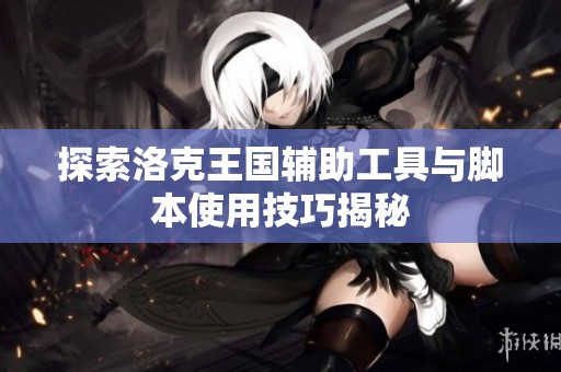 探索洛克王国辅助工具与脚本使用技巧揭秘