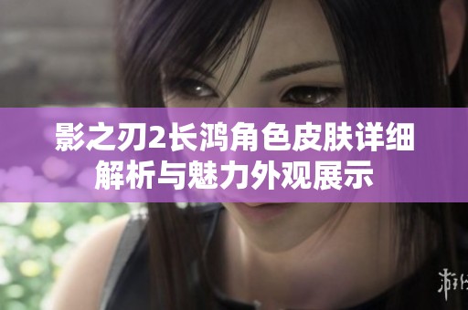 影之刃2长鸿角色皮肤详细解析与魅力外观展示