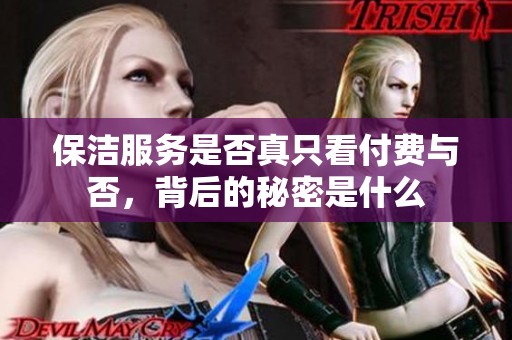 保洁服务是否真只看付费与否，背后的秘密是什么