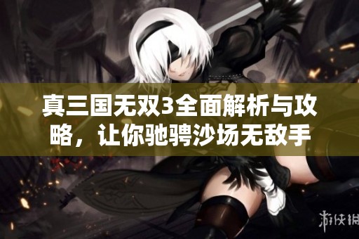 真三国无双3全面解析与攻略，让你驰骋沙场无敌手