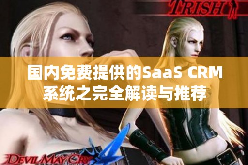 国内免费提供的SaaS CRM系统之完全解读与推荐
