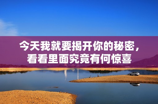 今天我就要揭开你的秘密，看看里面究竟有何惊喜