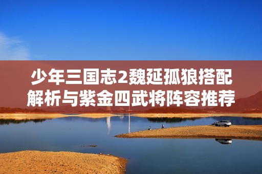 少年三国志2魏延孤狼搭配解析与紫金四武将阵容推荐