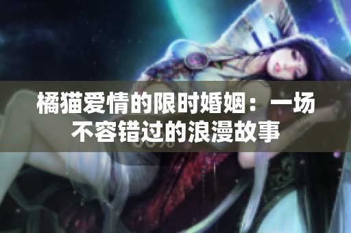 橘猫爱情的限时婚姻：一场不容错过的浪漫故事