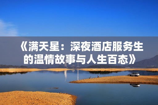 《满天星：深夜酒店服务生的温情故事与人生百态》
