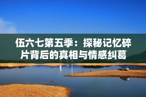 伍六七第五季：探秘记忆碎片背后的真相与情感纠葛