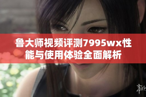 鲁大师视频评测7995wx性能与使用体验全面解析