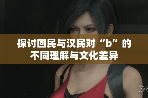 探讨回民与汉民对“b”的不同理解与文化差异