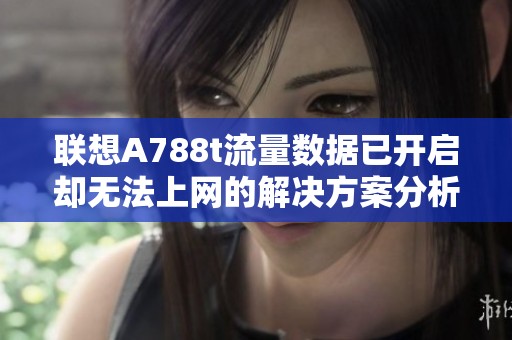联想A788t流量数据已开启却无法上网的解决方案分析
