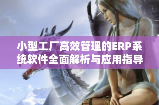 小型工厂高效管理的ERP系统软件全面解析与应用指导