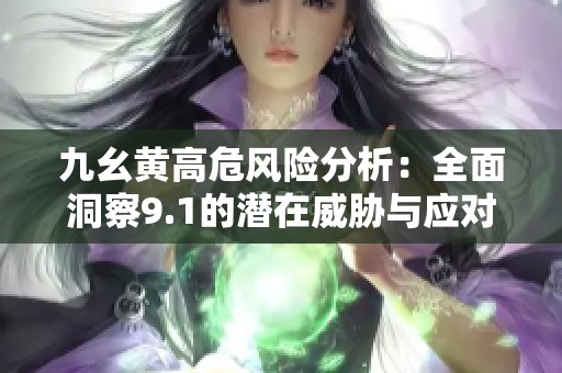 九幺黄高危风险分析：全面洞察9.1的潜在威胁与应对策略