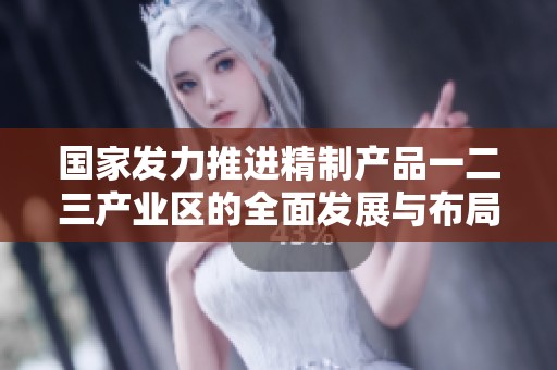 国家发力推进精制产品一二三产业区的全面发展与布局