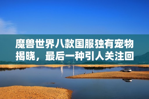 魔兽世界八款国服独有宠物揭晓，最后一种引人关注回归定制